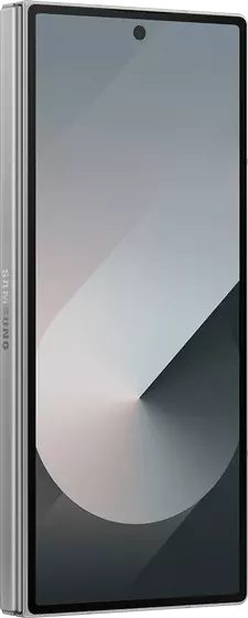Samsung Galaxy Z Fold 6 Silver 256GB
